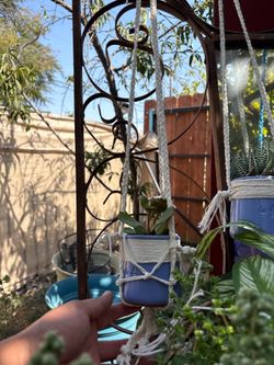 Mini pots macrame, plants
