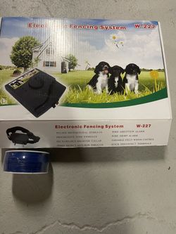 Electric Dog Fence 