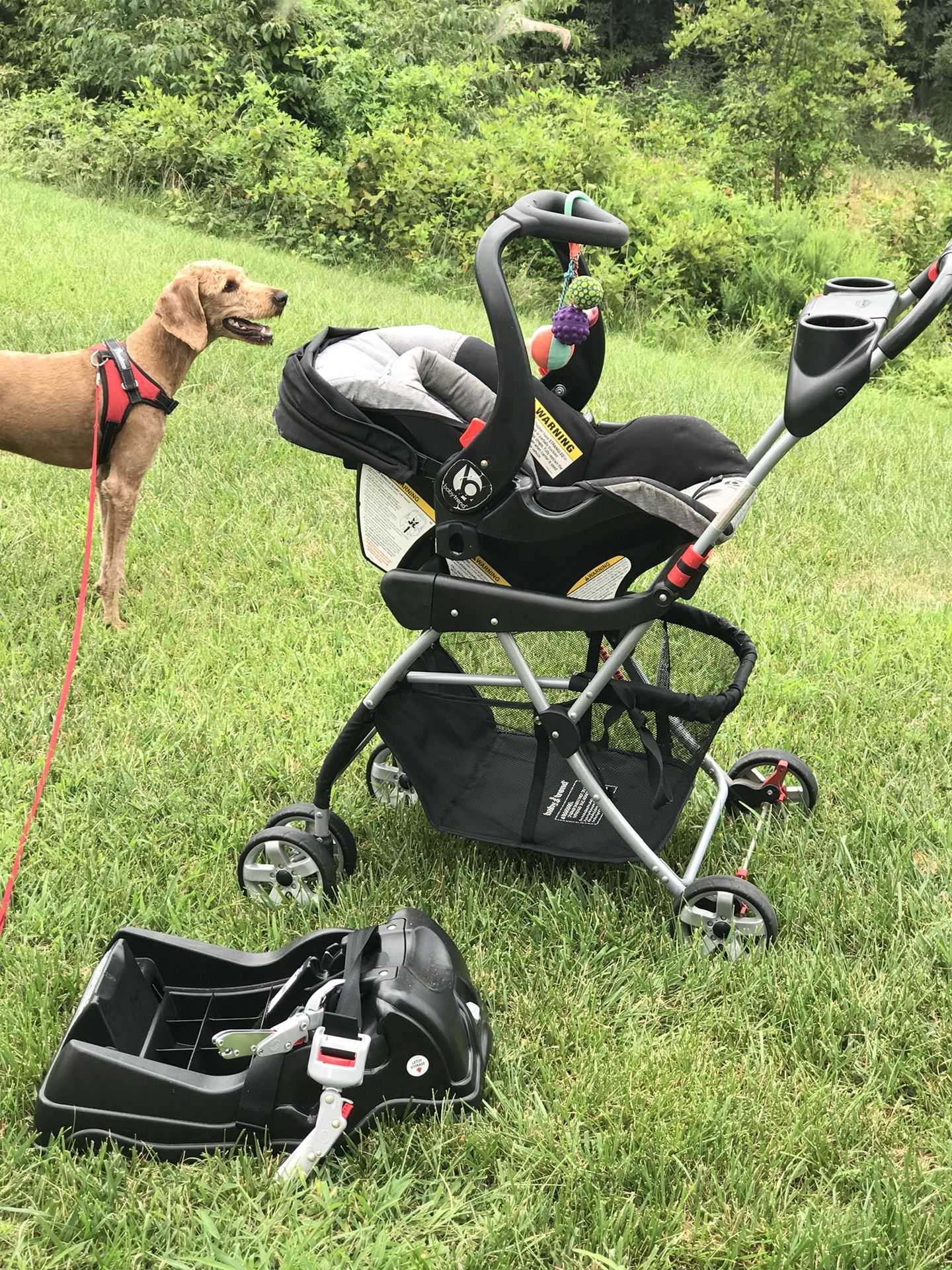 Baby trend 2016 infant car seat, 1 base, 2 snap-n-go strollers. Dog not included.