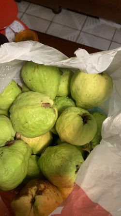 Guava Fresh —Ổi Giòn Ngot 4$ /pound