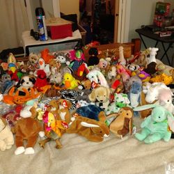 Huge Beanie Baby Collection