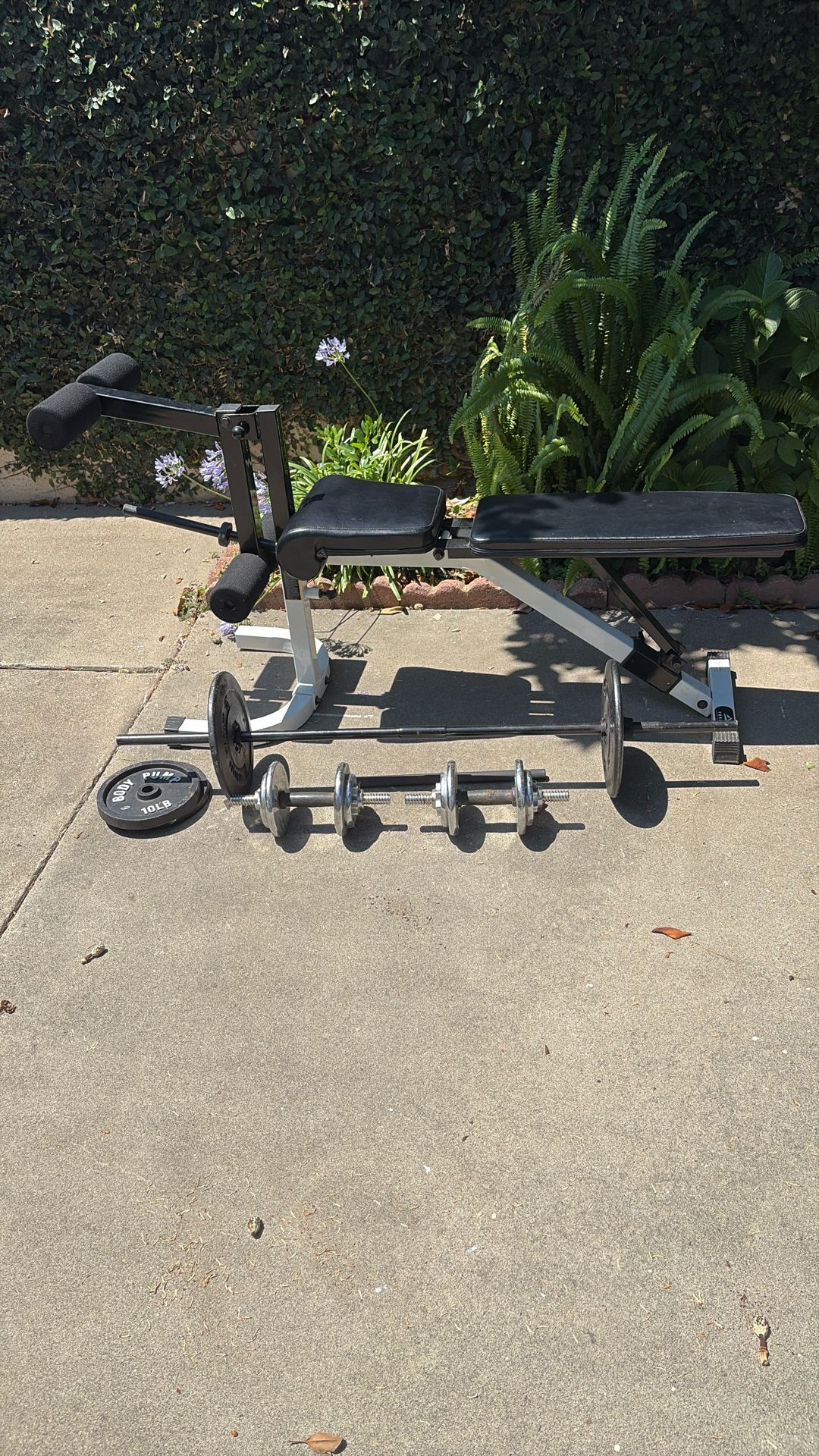 Yukon Weight Bench & 100lb Weights