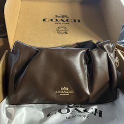 Brand New Brown Bag