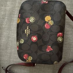 Coach Mini Camera Bag in Signature Canvas