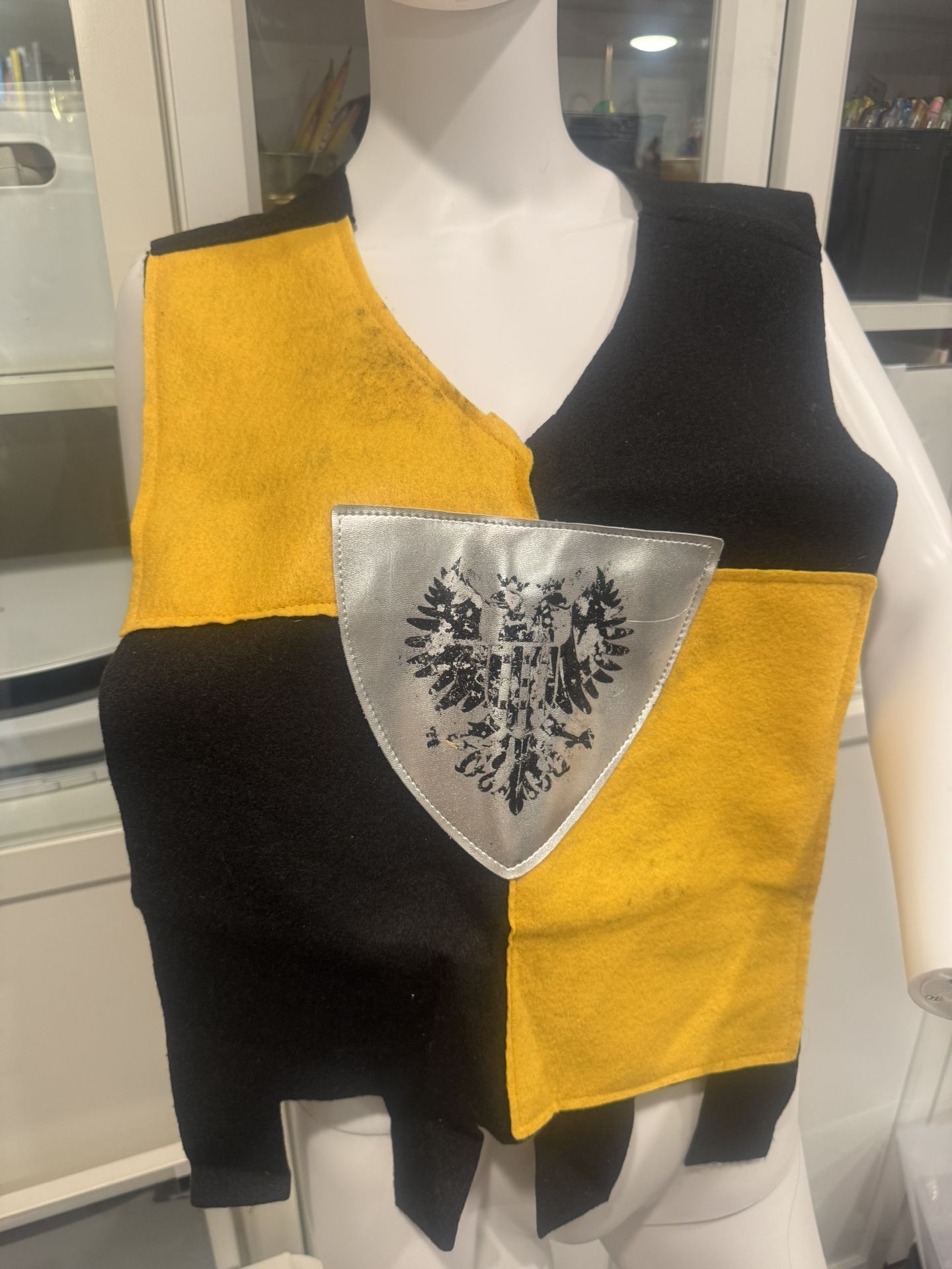 Medieval Times knight Boys  