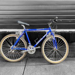 Diamondback Mountain Bike