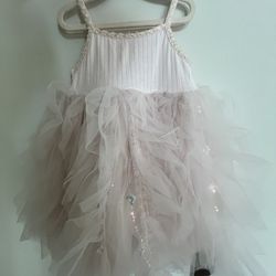 Pink Dress/Tutu.