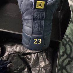 Michigan 12s 