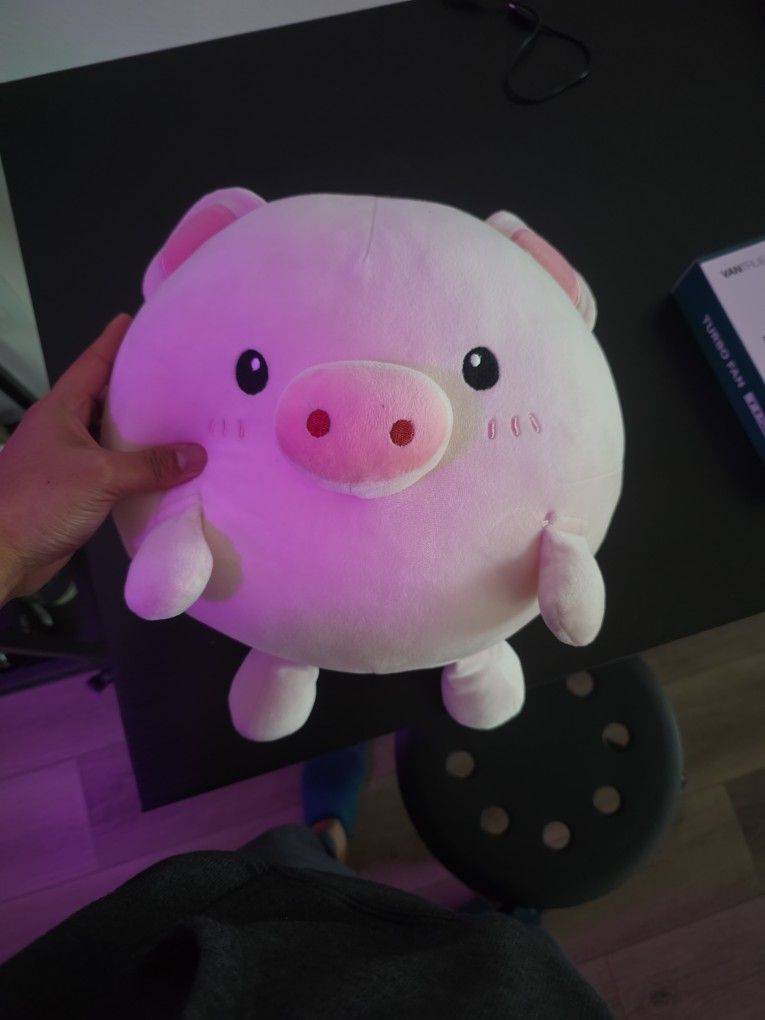 Cute Pig Plushie New