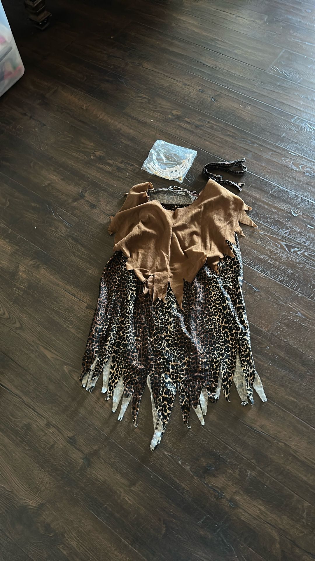 Halloween Costume