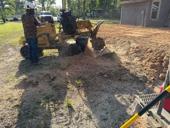 Stump Grinding