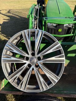 Audi rims