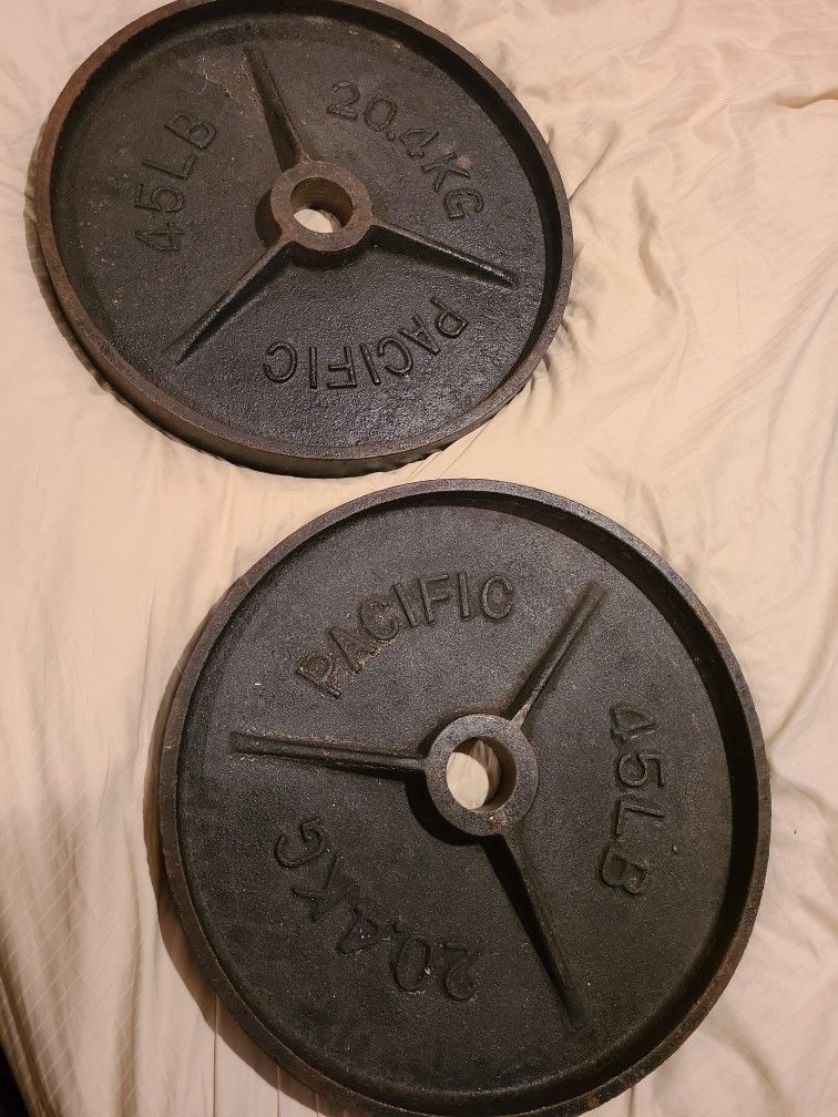 Pacific Vintage Deep Dish Olympic Plates 2 Inch Hold Pair 2x45 90 Pounds Total For Home Gym Weight Lifting