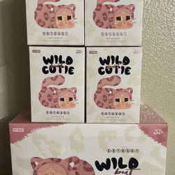 Wild But Cutie Crybaby