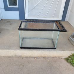 10 Gallon Tank!
