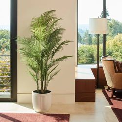 Faux 6.5' Palm Tree NEW