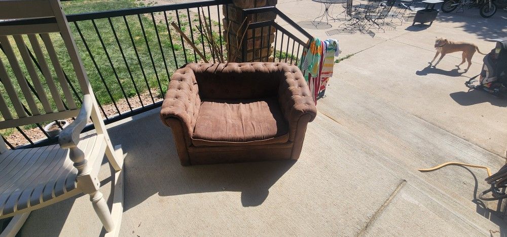 Dog Or Kid Couch