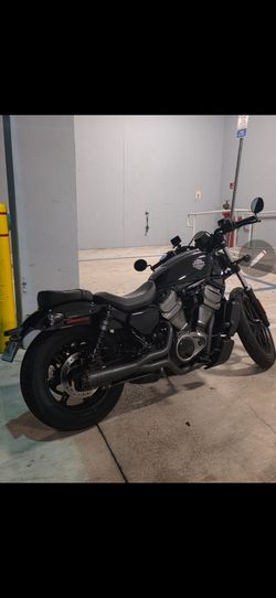 2024 Harley Davidson Nightster