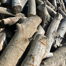 Firewood.  ‘leña’