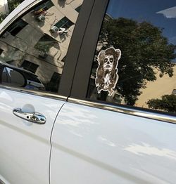 Car stickers
