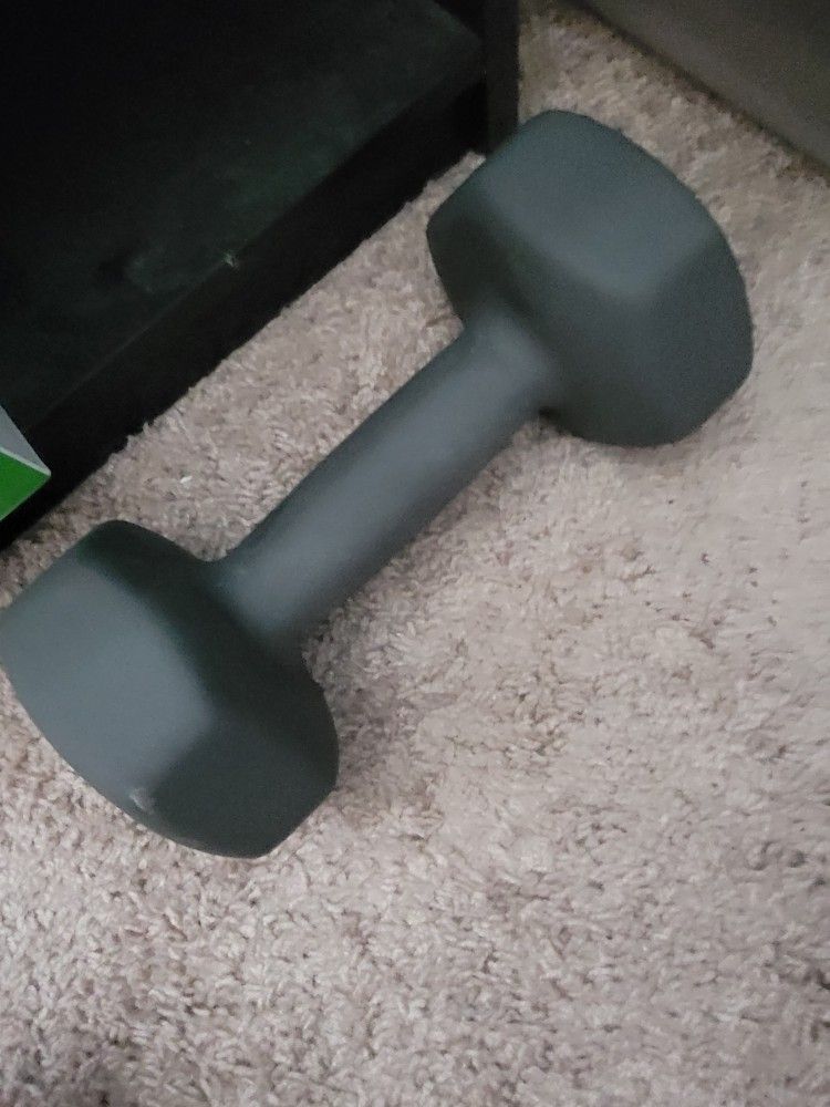 Two 15lbs Dumbells