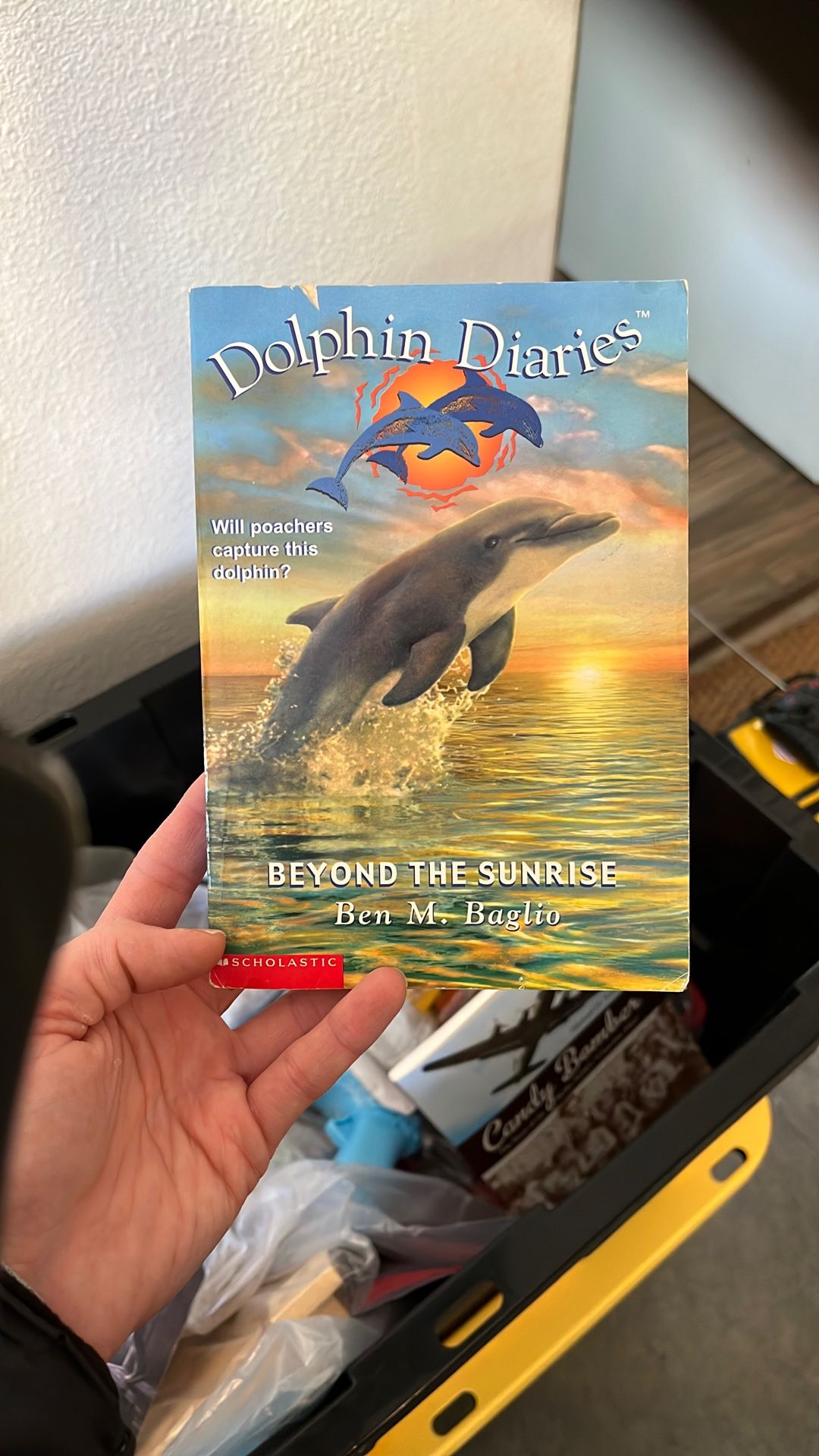 Dolphin Diaries
