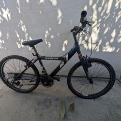 K2 Appaloosa Bike (Description)