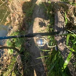 ZEBCO RT SPECIES SELECT-FISHING (COMBO) ROD WITH REEL 