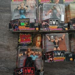 Wrestling Figures