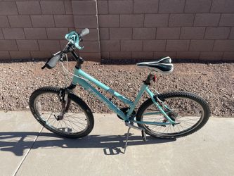 Trek Skye MTB 19 Inch (L)