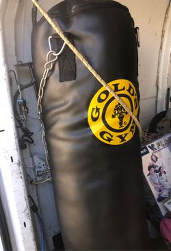 Golds gym punching Bag