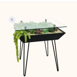 Succulent Plant Table 
