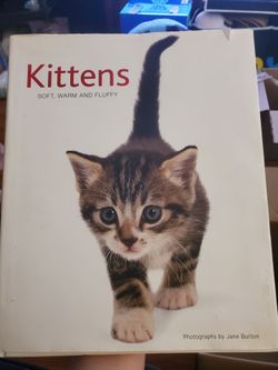 Kittens Photography Book