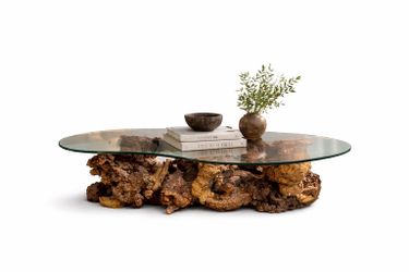 Vintage Sculptural Jewelry Burl Wood Coffee Table w/ Thick Freeform Glass – Organic Modern
