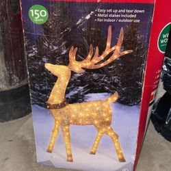 Champagne Deer 🦌 60 Inch 