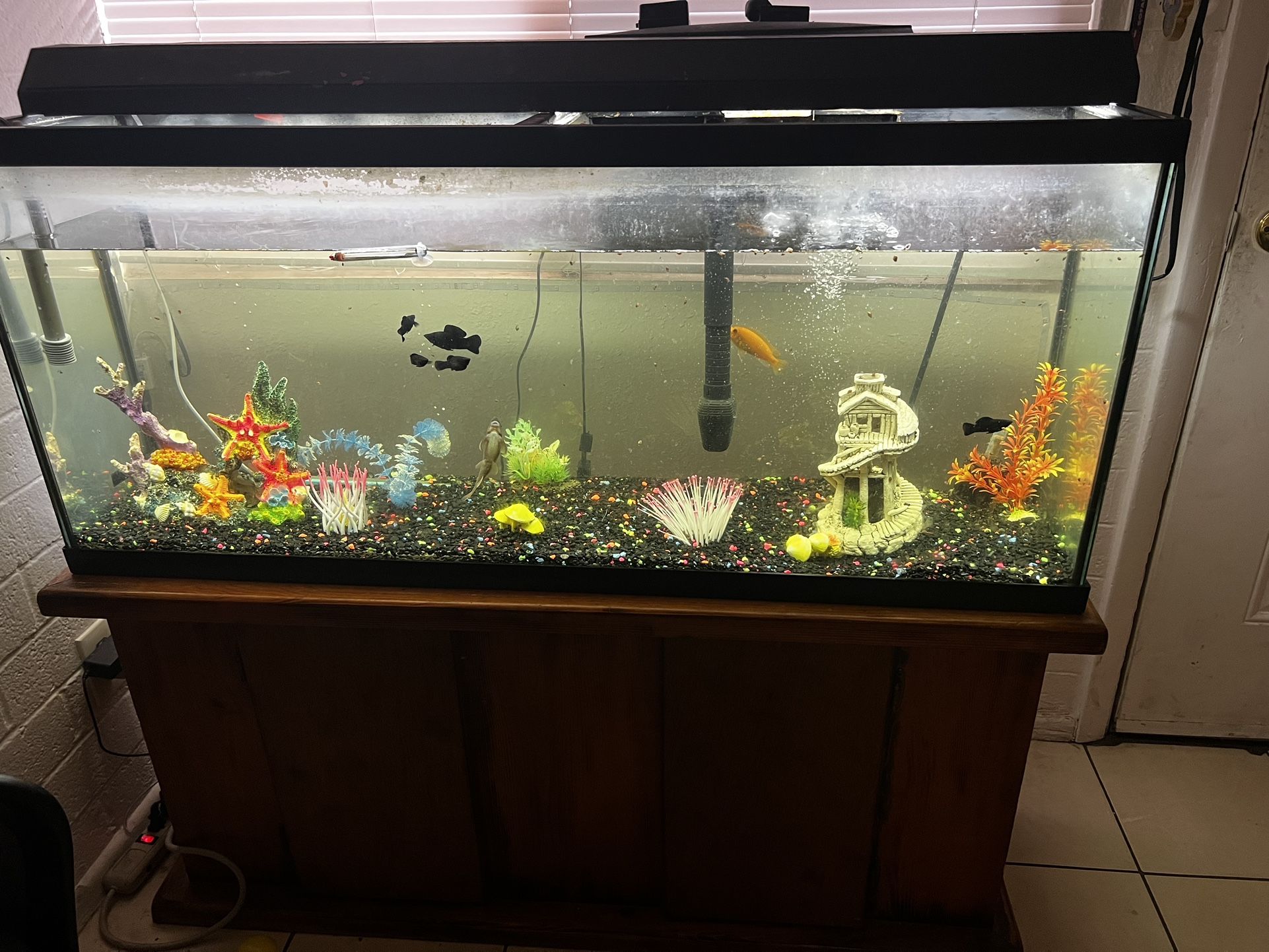 Aquarium With Fish