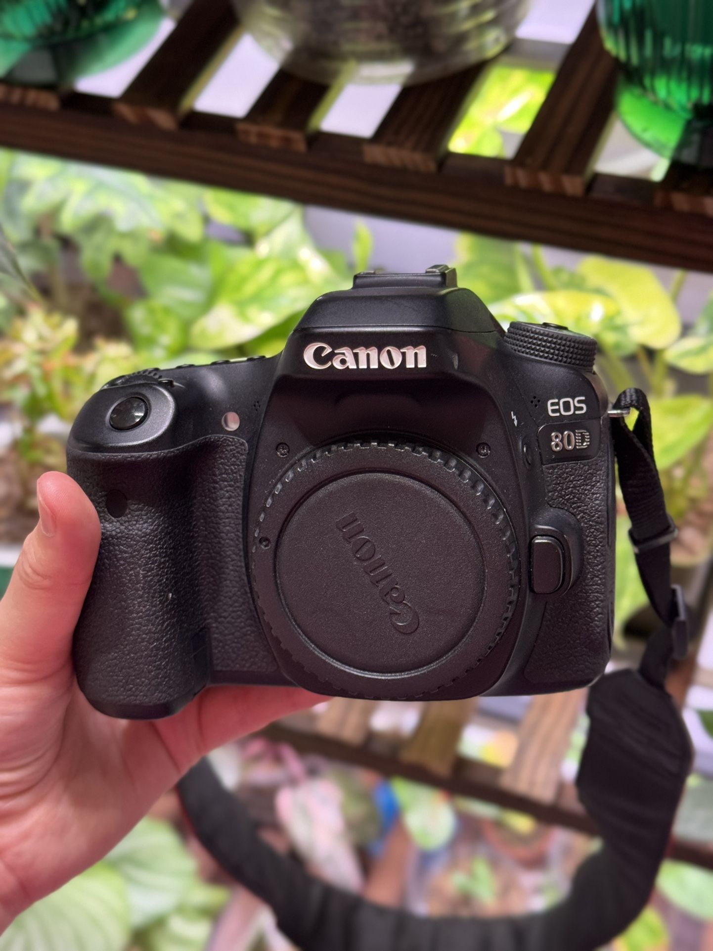 Canon 80D Camera Bundle