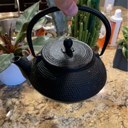 Japanese Tea Pot 5” Small 