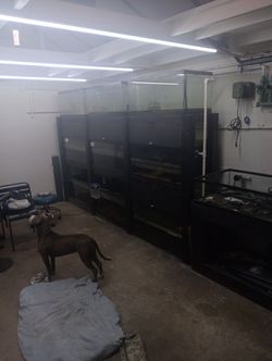 40 Gal Fish Tank Rack