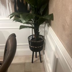 Fake Plant