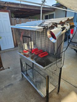 Animal/Bird Cage Brooder