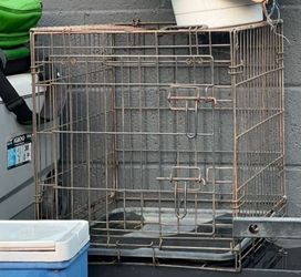 Dog house and crates