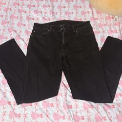 American Eagle Men’s Pants 