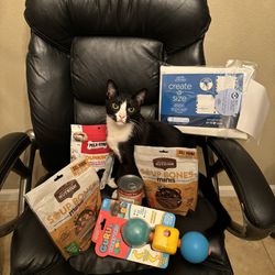 Dog Items for Sale
