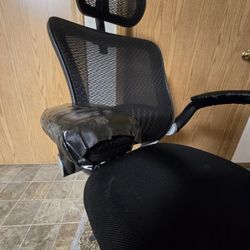 Ergonomic Office Chair