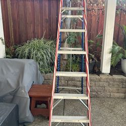 6ft Ladder 