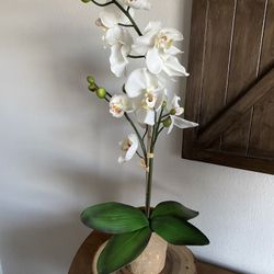 Fake Decorative Orchid