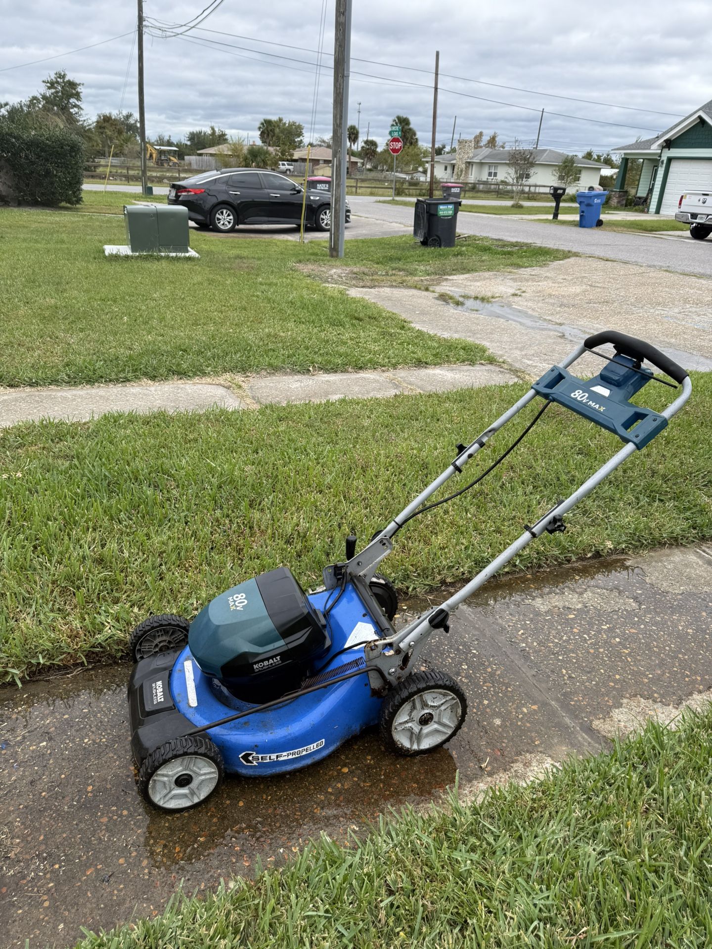 Electric Mower