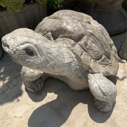 Concrete Turtles pots . Tortugas De Concreto
