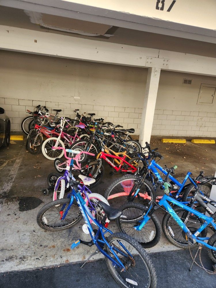 35 Bicycles $100